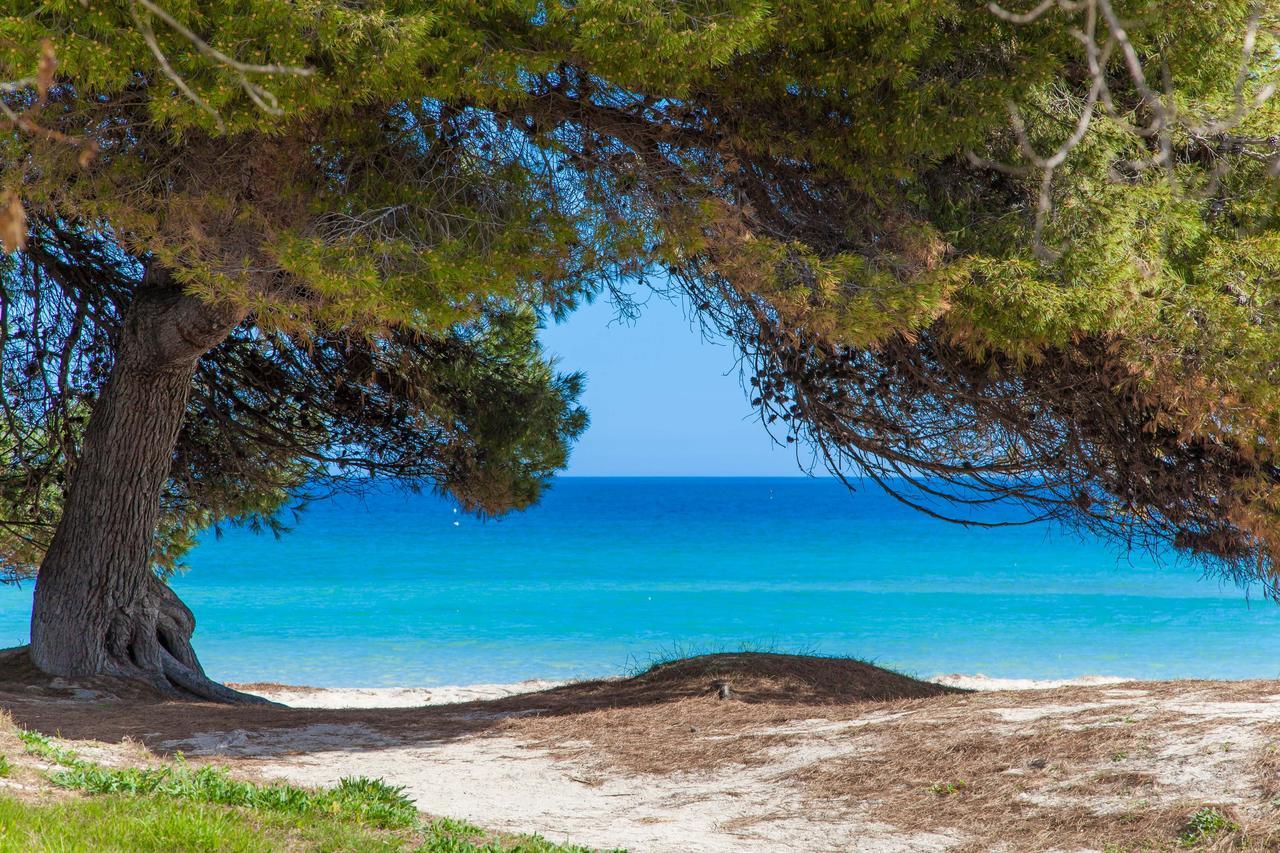 Formentera 2 Villa Can Picafort  Exteriör bild